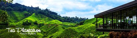 Cameron Highlands Bungalow Villa Homestay