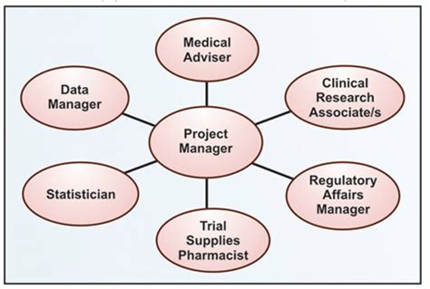 clinical trials team roles responsibilities ccrps clinical
