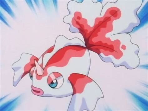 Goldeen | Pokémon Wiki | FANDOM powered by Wikia