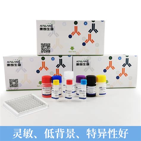 冰冻切片活性氧ros检测试剂盒 绿色荧光 Kl1470533a 康朗生物官方商城 康朗生物 试剂盒elisa试剂盒检测试剂盒