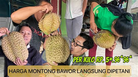 Bocoran Harga Montong Bawor Di Petani Durian Lereng Merapi Murah Banget