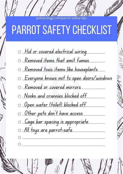 how do you parrot hyperactive safely