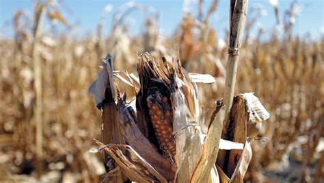 Declaran Alerta Naranja En Departamentos Y Alerta Roja En