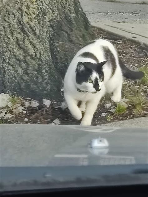 Sunset from Sunset Park : Brooklyn