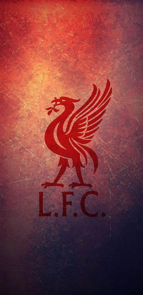 Liverpool Fc Lfc Logo Premierleague Salah Ynwa Hd Phone Wallpaper