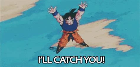 Dragonball Z Abridged GIFs - Find & Share on GIPHY