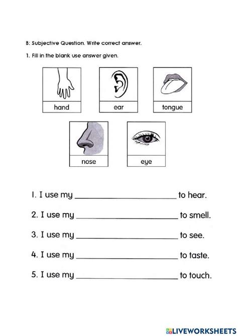 Bahasa Inggeris Online Worksheet For Kelas 5 Live Worksheets