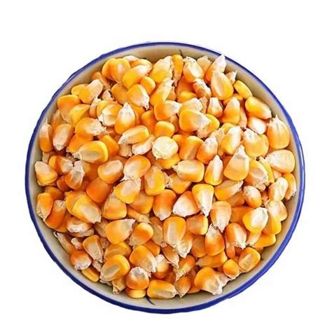 Natural Organic Maize Seed For Food Processing Packaging Type Loose