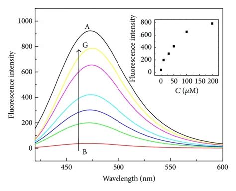 Fluorescence Responses Of Dhc M Curve A And Cu Dhc Cu