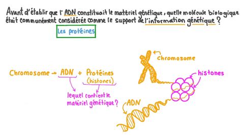 Vid O Question Rappeler La Mol Cule Autrefois Consid R E Comme Le