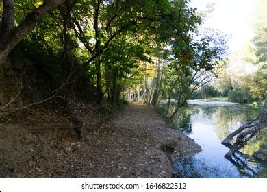 Bosque Encantada Images Stock Photos Vectors Shutterstock