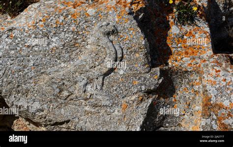 Ancient relief, close-up, bird of prey, Ancient Thera, mountain top, archaeological site ...