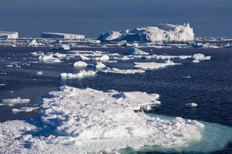 Weddell Sea Stock Photos, Pictures & Royalty-Free Images - iStock