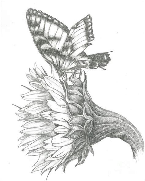 Sunflower Pencil Drawing at PaintingValley.com | Explore collection of ...