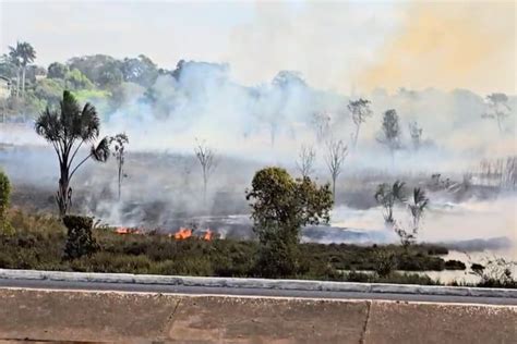 Vídeo incêndio atinge vegetação na margem do Lago Paranoá Metrópoles