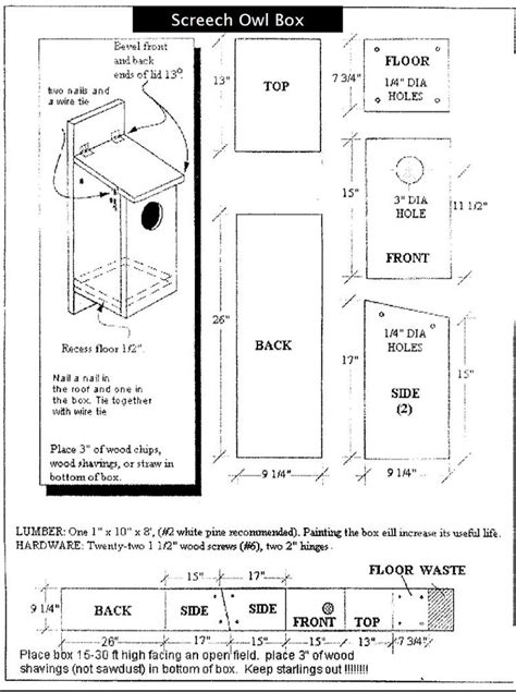 Owl Box Plans — Austin Wildlife Rescue