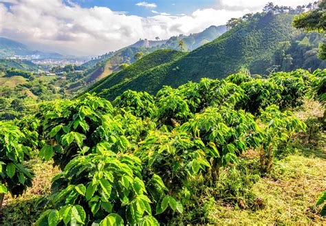 Quindío Colombia A Hidden Gem