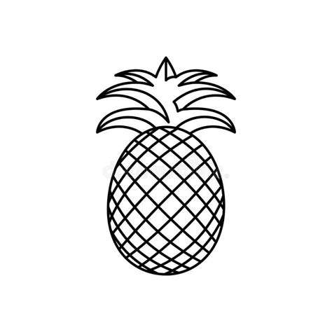 Fresh Pineapple Fruit Vector Icon Outline Eps 10 Tropical Fruits Illustration Vegetarian Menu