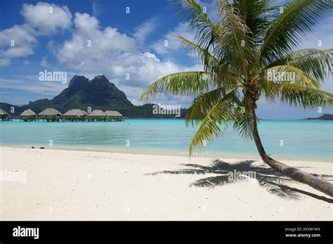 Bora Bora Beach Scene Stock Photo - Alamy