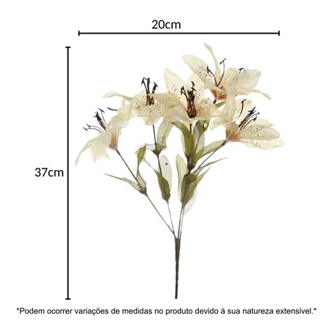 Tudo Dez A Maior Loja De Pre O Nico Do Brasil Flores E Plantas