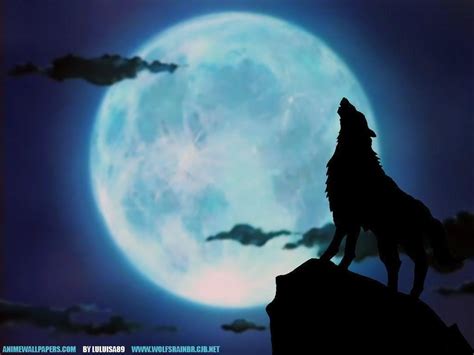 Wolf Howling Wallpapers - Wallpaper Cave