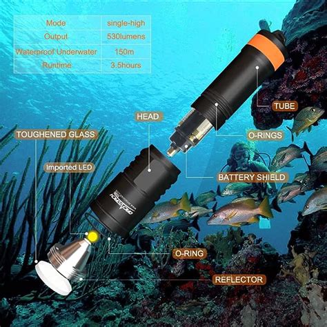 D Flashlight Scuba Diving Costa Rica