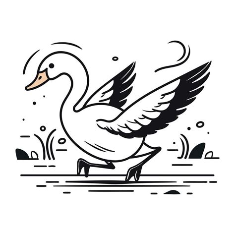 Vector illustration of a flying swan. Isolated on white background ...