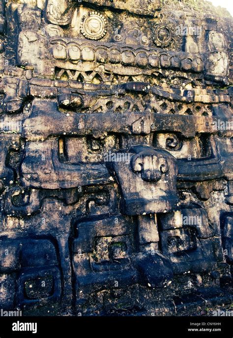 Caracol maya ruins, belize Stock Photo - Alamy