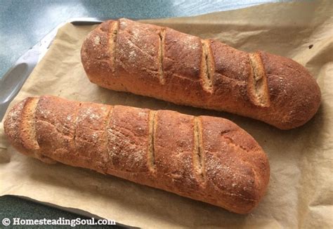 Crusty Whole Wheat Italian Bread Rustic Homemade Delight - Homesteading ...