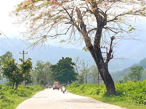 Visit Kurseong: 2024 Travel Guide for Kurseong, West Bengal | Expedia