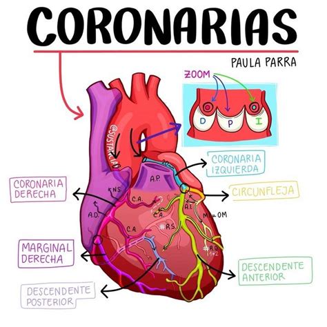 Sustancia P Estudiar medicina Lógica Memoria on Instagram