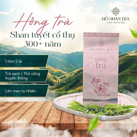 Hồng Trà Shan Tuyết Cổ Thụ - Hồng Trà Trường Thọ