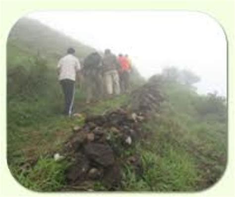 Trekking in Madikeri, madikeri, India - Top Attractions, Things to Do ...