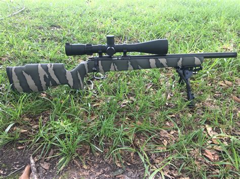 Precision Practical Rimfire Rifle ... | Rimfire Central Firearm Forum