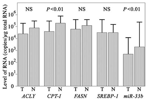 Expression Of Lipogenic Genes In Patients With Gastric Cancer T