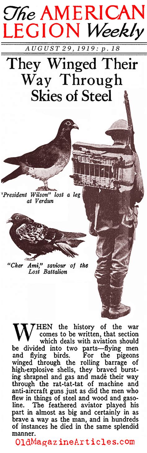 US ARMY CARRIER PIGEONS IN WW1,WW1 CARRIER PIGEON ARTICLE,AMERICAN ...