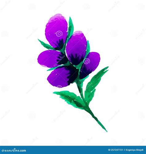 Watercolor Violet Purple Flower Single Branch Isolated On White Stock