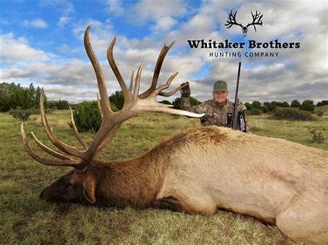 Trusted Products Whitaker Brothers Hunting Company