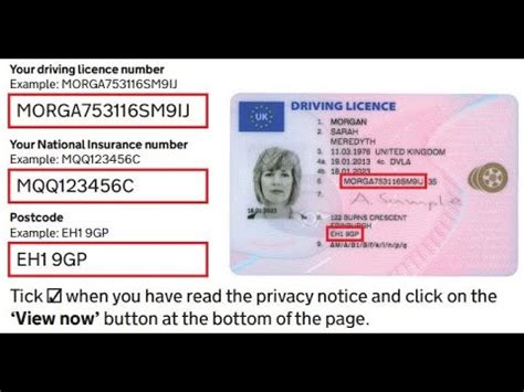 Dvla Driving Ban Check