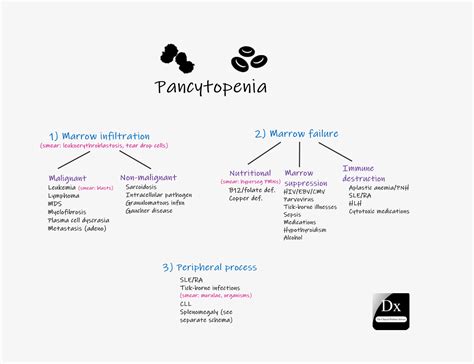 Dx Schema – Pancytopenia – The Clinical Problem Solvers