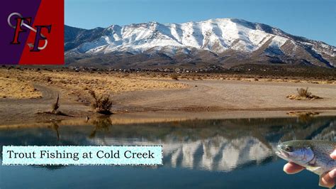 Catching Some Rainbow Trout From Cold Creek Youtube