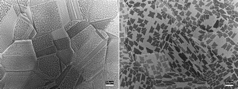 On The Dynamics Of Intrinsic Carbon In Copper During The Annealing