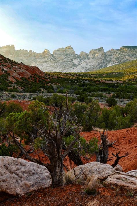 America's Great Outdoors, Dinosaur National Monument contains famous ...