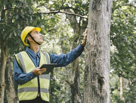 10 M pour soutenir lindustrie forestière dans lOutaouais et les