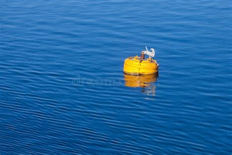 Yellow Mooring Buoy With Hook On Blue Sea Water Stock Photo Image Of