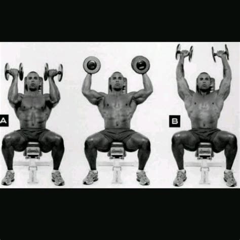 Seated Dumbbell Arnold Press by Aysel S. - Exercise How-to - Skimble