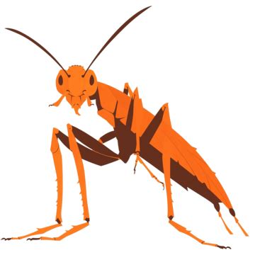 Cricket Silhouette Isolated, Insect, Cricket, Silhouette PNG ...