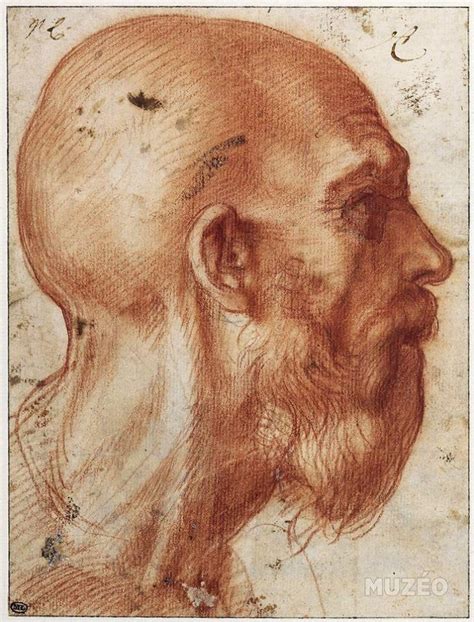 Andrea del Sarto 1486 1530 Tête de vieil homme de profil vers la droite