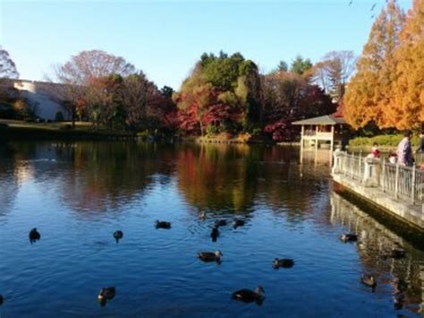 【栃木県中央公園】アクセス・営業時間・料金情報 じゃらんnet