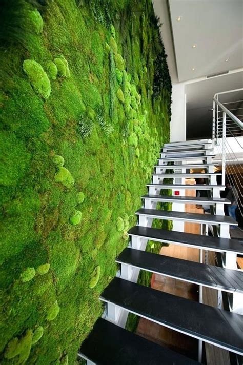 20+ Indoor Living Moss Wall – The Urban Decor